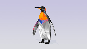 Penguin Abstract, penguin, birds, abstract HD wallpaper