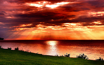 Amazing Sky, rays, sunlight, colors, peaceful, red sunset, beauty, reflection, amazing, ocean, sunset, sea, beautiful, grass, green, red, view, clouds, nature, sky, lovely, splendor HD wallpaper