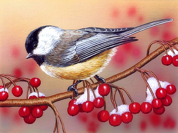 Chickadee with Berries, chickadee, winter, birds, berries, paintings, love four seasons, animals, snow, nature HD wallpaper