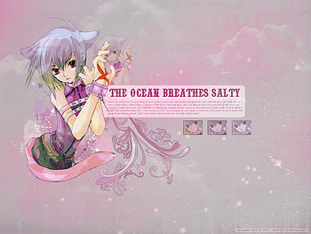 dfdgfg, gfhfgh, gfhhh, fghfgh HD wallpaper