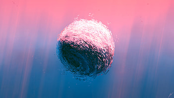 Fishes ball, underwater, art HD wallpaper