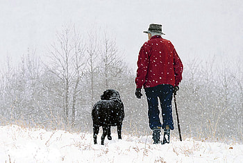 Best Friends, winter, dog, man, snow, trees, friends HD wallpaper