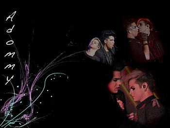 adam and tommy, lol HD wallpaper