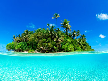 Landscape, Water, Trees, Sky, Sea, Art , Palms HD wallpaper