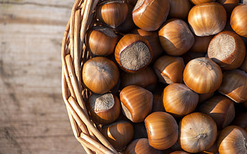 Nuts collection, Nutty delights, Gourmet food, Delicious and natural HD wallpaper