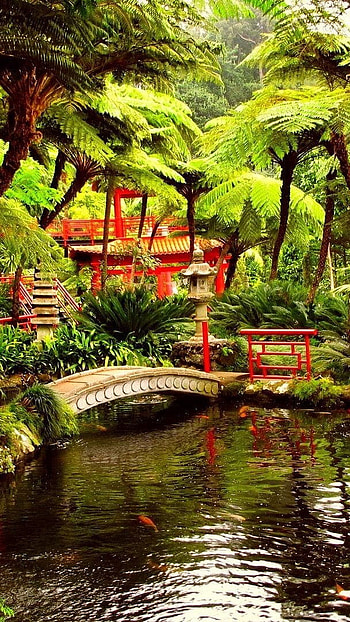 White bridge, bridge, white, lake, nature, japan HD phone wallpaper