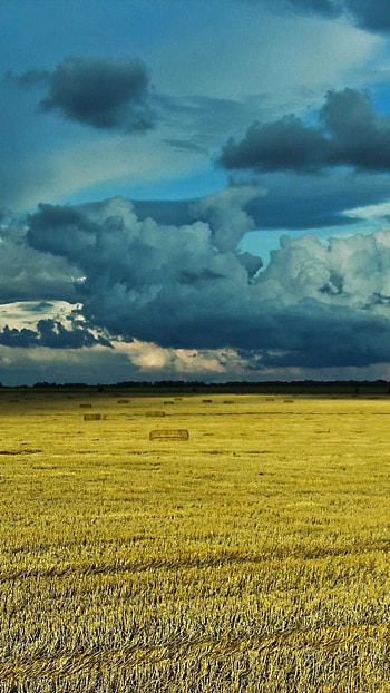 Ukraine , Belarus, Black Sea, Eastern Europe HD phone wallpaper