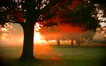 Red Dawn , dawn, red HD wallpaper