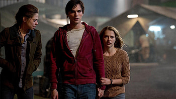 Warm Bodies backdrops, Movie database entry, TMDB inclusion, Visual details HD wallpaper