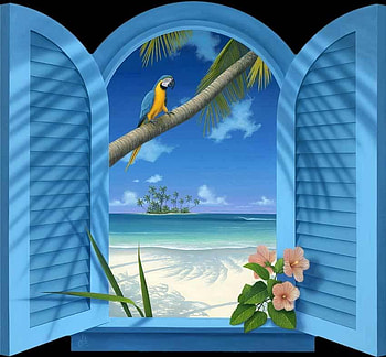 View, sand, window, tree, palm tree, abstract, flower, clouds, sky, water, parrot, ocean HD wallpaper