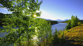 wonderful river in jasper np alberta canada, sunshine, river, mountains, forest HD wallpaper