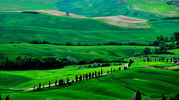 Tuscany's beauty, Green hills vista, Tranquil countryside HD wallpaper