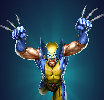 The wolverine, superhero, marvel, x-men, artwork HD wallpaper