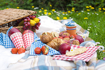Summer picnic , John walker HD wallpaper