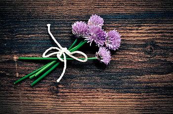 Purple chives flower, , Peakpx, Allium schoenoprasum HD wallpaper