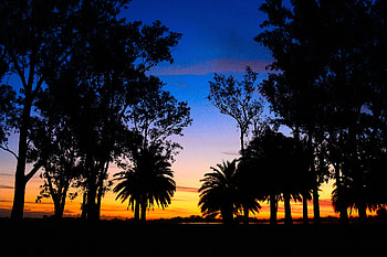 Landscape, Sunset, Palms, Dark, Lagoon HD wallpaper