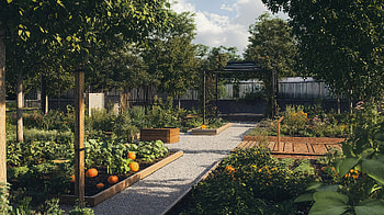 Urban Gardening: A Ultra for Nature Lovers, garden, vegetable, Landscaping HD wallpaper