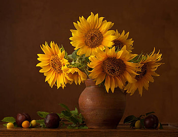 Bouquet of Sunflowers, Yellow, Sunflowers, Closeup, Berries HD wallpaper