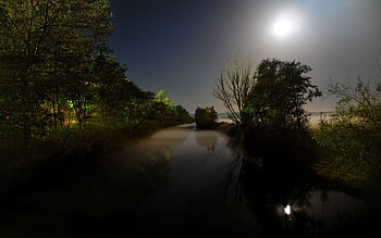 Nature, Water, Rivers, Trees, Night, Moon, Shine, Light, Darkness HD wallpaper