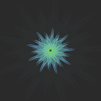 Flower, Dark, Form, Cloth, Geometric HD phone wallpaper