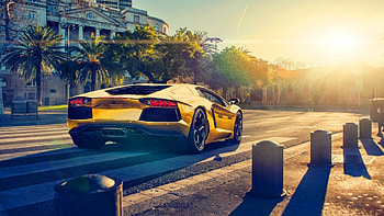 Crosswalk, Gold Lamborghini HD wallpaper