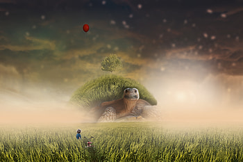 Grass, Art, Field, hop, Child, Bicycle, Turtle HD wallpaper