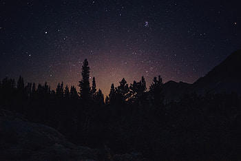 Night out, another day, forest, trees, starry sky, silhouette HD wallpaper