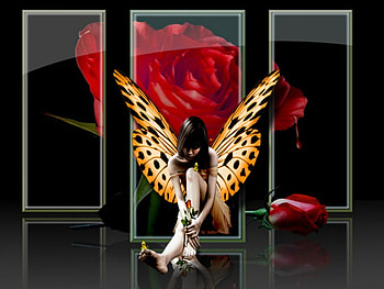 roses and wings, wings, and, roses HD wallpaper