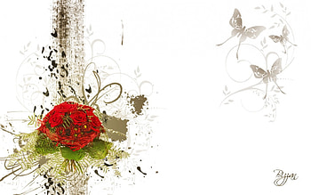 Collage flower, flowers, roses HD wallpaper