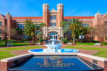 Student Apartments, Tallahassee, FL, The Social HD wallpaper
