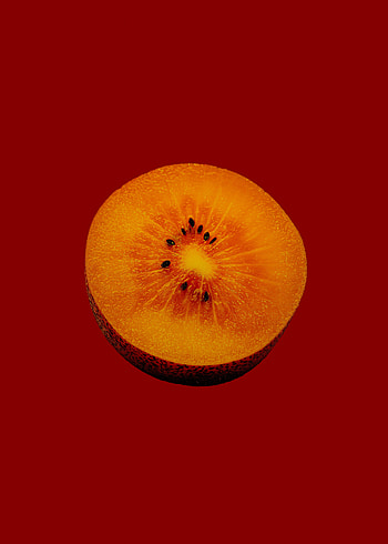Orange fruit, close up, slice HD phone wallpaper