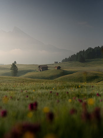 Idyllic landscape of misty meadows and rustic cabins with mountains. HD phone wallpaper