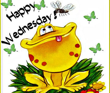 Good Morning, Butterflies, Cartoons, Abstract, Frogs HD wallpaper