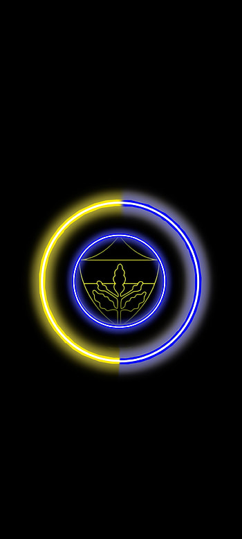 Fenerbahçe, 433, Fenerbahce HD phone wallpaper