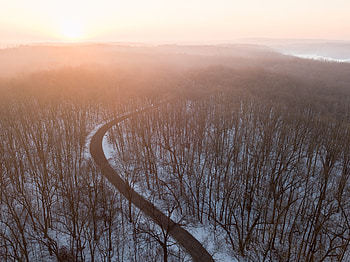 Light Flare Trees Forest Road Snow , forest, snow, road, nature, graphy HD wallpaper