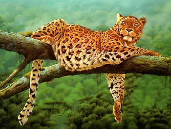 Jaguar On Branch, branch, jungle, jaguar, art HD wallpaper