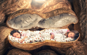 Just two little peanuts, cute, john wilhelm, girl, creative, sister, fantasy, copii, funny HD wallpaper