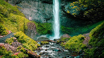 Waterfall, water, forest, stream HD wallpaper