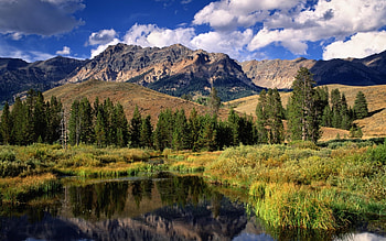 Landscape, Trees, Mountains HD wallpaper