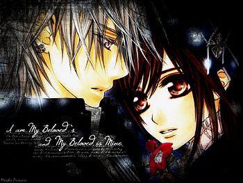 Yuuki and Zero, zero, knight, yuuki, vampire HD wallpaper