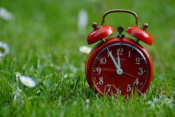 Red vintage alarm clock on lush green grass, symbolizing time and nature. HD wallpaper