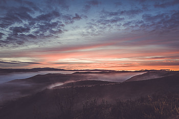 Nature Sky Trees , nature, sky, trees HD wallpaper