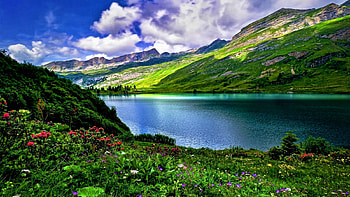 Lake Engstler Austria, ake, sky, flowers, austria HD wallpaper