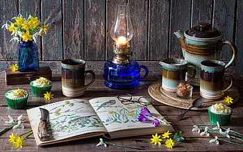 Still Life Cupcakes, dessert, still life, tea, cupcakes HD wallpaper