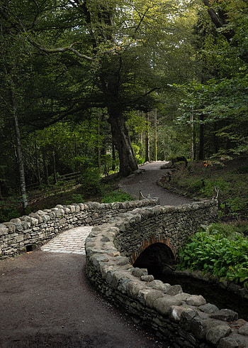 Alley, Nature, Trees, Path, Bridge HD phone wallpaper