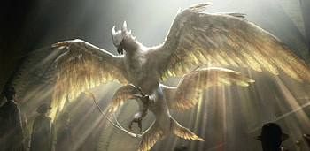 Fantastic Beasts and Where to Find Them (2016), wings, bird, fantasy, movie, creature, fantastic beasts and where to find them HD wallpaper