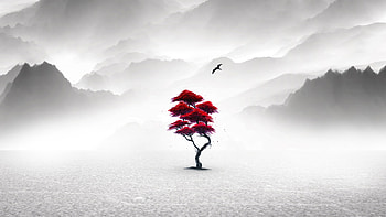 A Red Plant In Monochrome Serenity, tree, artist, artwork, digital-art HD wallpaper