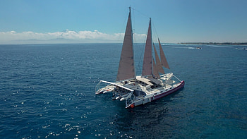 Catamaran, Charter Aneecha, Denpasar sail, Clicku0026Boat HD wallpaper