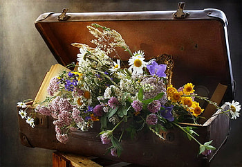 Autumn suitcase, wild flowers, graphy, bag, still life, season, suitcase, book, abstract, autumn, nature, flowers HD wallpaper
