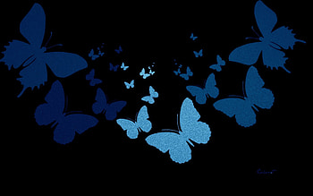 Butterflies, blue, by cehenot, black, butterfly HD wallpaper